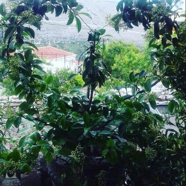 Villa Muzhaqi Nivice Εξωτερικό φωτογραφία