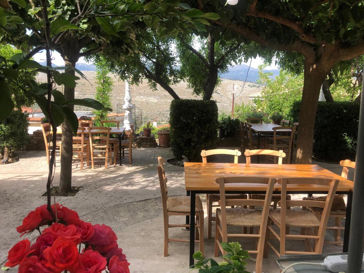 Villa Muzhaqi Nivice Εξωτερικό φωτογραφία